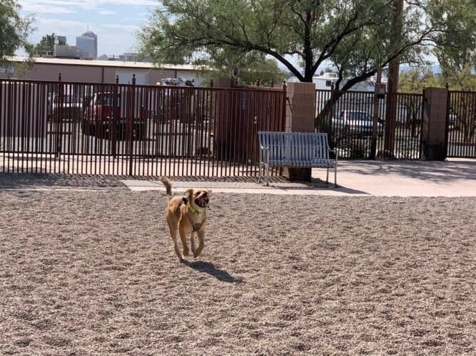 AC9h4noXBEmtdRvq0TjCS8j8JzszARSz7z2fVu owVXFHGnXbKKqDMfCzVdTRzIvCs9ATD1Skce22Nkpji2OCVr1lCXMf0vCGF jieuvyUUHg8fJngpYk8Lx7ewj mfjZ8MAyE7uCQqD3ww1600 h1000 k no