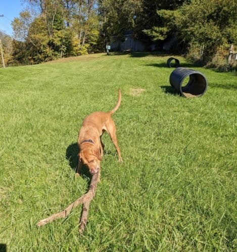 AC9h4noXf3FM DAcM1UqeGW1kLXAaQ26lZdCaVSJ7lKwTvyrUwZLxwaul vUWX8Sbe8PXGmzJJxJI4fAr2aGYHqDaVsjI96ViSgu4UWcCIlg 9dhTghgzUNyadVcF5vKYmWaMQMcKk 1ww1600 h1000 k no