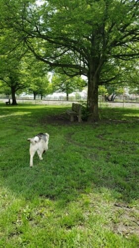 AC9h4noXibX akGyf3 sZPmplfodTqBiy6GrjmBp k5Z6UpKJVnBq4XzF0vJkDwB 8n8Af5eM4N XiUSbwoJWqow kBeNR1soeRnz IktX8CCNwJ4Ii5xmJdVLqN9D28e7VFgEJDjIUqw1600 h1000 k no