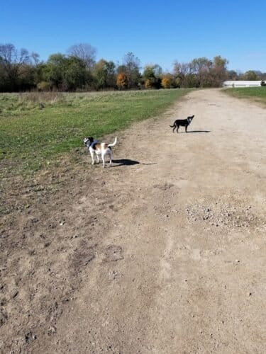 AC9h4noXuVYX  9E XT8VrGGxSWQ xopApjEKz87VuDqWQetZHtGxhbJXqyGfT28BtSTa6 lJckW srhvky4hpwfA8GjOC Hc5RNPKMgAzNyhRgdjG4dWtVxrILy0y1rrQfDVXgDJZZnw1600 h1000 k no