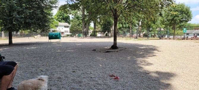 AC9h4noXweDaOr3Tm7wSLwHeSvKaDaS22 puKEpWcYoCCNQrafKUo8tEne0UfBrSjNpoTEzKP2iwo9tcYFjI arCPjFRIlSdKupGDTxsXl  GSpfBbUBhaAnBPY6Tlia nvB7h97WnARw1600 h1000 k no