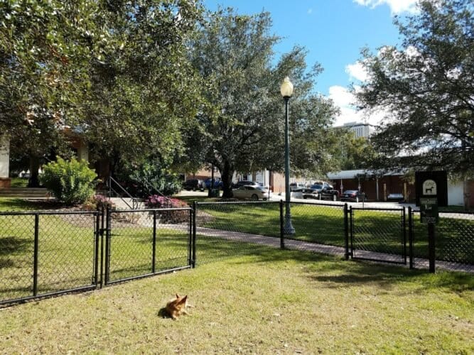 AC9h4noXyR3tsUVbCI8B2iRbJrkyCHpa1iSRYh okplpKMj0KuMqqT5QWlWCH eYZWTlr9aAWZ8pRzgjTv9mP J5pJzuPvW75jUnLIrfUAw1600 h1000 k no