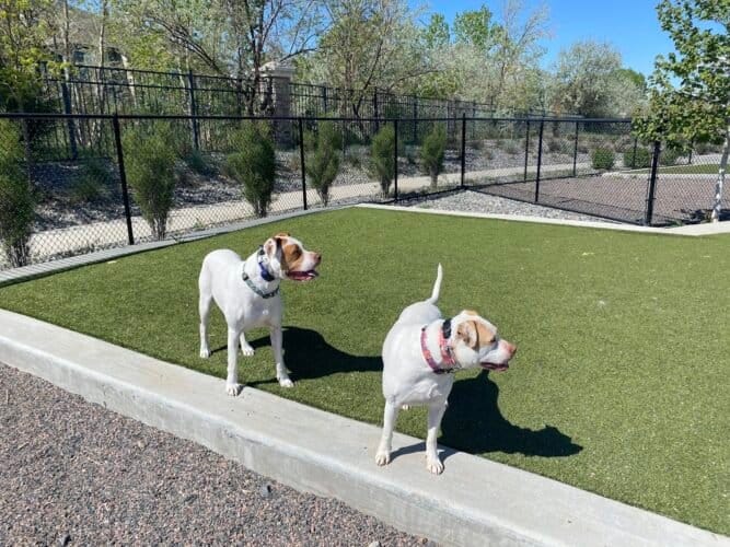 AC9h4noXySOoaaCw4 11qWtxP6LnkgZKfvcUNmle4wgMOXWQkWCsiwrFRCx47 vMFgFR2QKWOrictsIDVahMBGytSRAi1AKo8TdTjUV1rLZ8gNY0t6fMhTevsPF27OQby6mE6c kOsw1600 h1000 k no