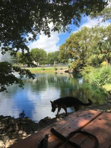 AC9h4noY qd3ePSDWWb1PewALQKL6jCbyGATlXGxTvOumkNvQzwBIjP01Q4whBwGEj 2r5z wQmq vvk8ZdHzrbqUy DdyH EYmthwO4g sY2oClK6AA1pf bvZj3winRKXquXEOPdvUw1600 h1000 k no