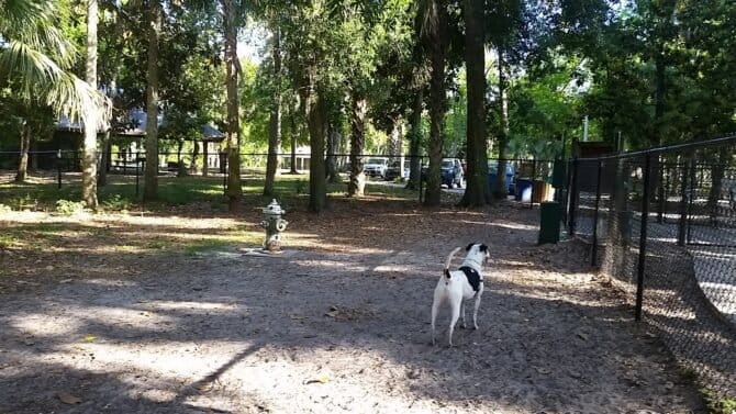 AC9h4noY7XdT9PkzoDjzI8tESHMj0uhZ 45XS8ssLEo7 9GBphkZAo1xc7wrJeaguZ5vOAC410k pqiosp3BunAXqerwa5sAou0IJr3DzBc4s9IuplLtWxBq6ldp7Fi6Ze jKPZUPFqkRww1600 h1000 k no