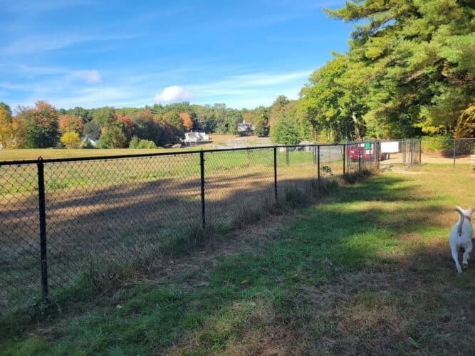 AC9h4noYJOXGpS58VEWYArwpQ282DbgrGI9nppU4RAwa7qoCsnWqf 4e qL3AxxlLNJ1GZN5DId1qQ3owohm7XCTcGYvcao5nAB356IXr5leU1Faix9QvCMh9ArsltBh40jJCu11e3NQOAw1600 h1000 k no