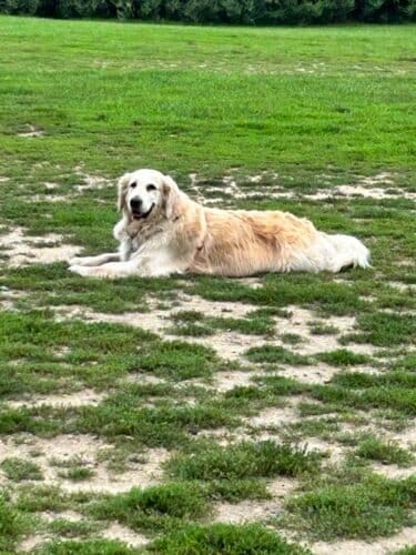 AC9h4noYJhPtgMSlj2ffqX2P1eu14wUYYbAlG66eCTIFhqPu6XVIHeIC9X7AoczOGwNmCr  Tk M8 pe1SZYbmKTEfSqKFANejnW KB886DArolcBrdb FV9Q 0r vDTeYAq R7mu2uLw1600 h1000 k no