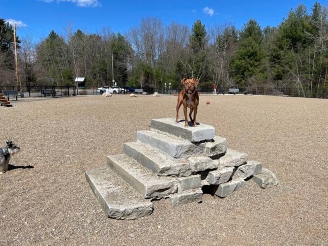 AC9h4noYJlZK5qBqF9IiDwfpp0wvYljXaWKQdt7gxTQhtgD227jYzpmuvg FV10iIRi8lnDM48tO37Lu0jJPI1aFCMc7hYiovSIexBfkQLQxy6sVa zrVu cMkZk56X37KGnJDzkZfk8Rww1600 h1000 k no