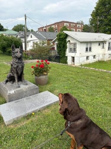 AC9h4noYOKBZKiPPHpctJ1t1tmSnyHlcUzrr7EsDvjFhdFgat9gLlm0b qqL1nGD9XSViO05v t7GeqseRplT3uh3P3dyxsqujM6ojS65RcmAo8qyx8 GSJjiWFEm mOMVLfK9RYSLPeDHYXGk8w1600 h1000 k no