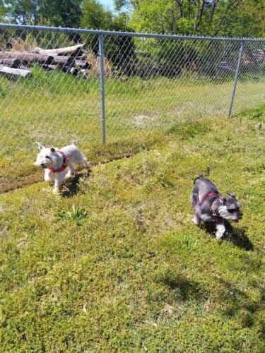 AC9h4noYTpq1XLWQ03H 5fs7uDMKkdquugHpUygUQlm77QdwIHOUVdz8m4METiPFnT3fe9TC2XAMNeyr4s5xE0vHhTg9E tXsbkyMzYqsqLD PUjcKx 5X7SEl ck YW6 LnKFl2IvL13Aw1600 h1000 k no