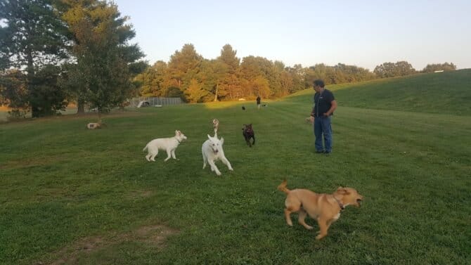 AC9h4noYYyE29p17trxfOrdCQu6pC8zMbC4pAQ3PaNOH UbwyA0CejktrJRvQKIA uPuIVFPB8ZRVJau9tylHKSo4EcDZwQh2ecEWSGqBl8g3zEbJAVxFh dbBoKqT6OjjfuFHxkQjkw1600 h1000 k no