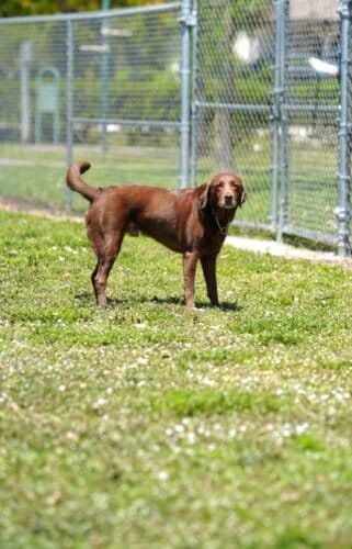 AC9h4noYc9f6ypECJq2VznTi6T893Gcc qbe0HXEHDWzE4CgabIKLY6rAOvU1DvYAprH6cFYFmkGEglBTaLuOAK627eWT7ChRUmcmIJMN2OUcP6N4PKFHHfNbzUiv0HowKLlXZcodsxaw1600 h1000 k no