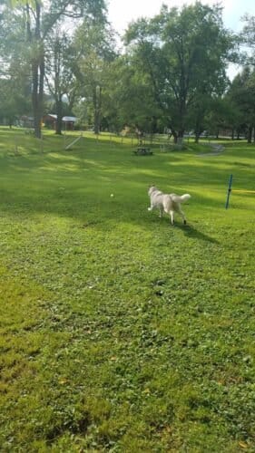 AC9h4noYcRKrFiSp5wdLVkCd7wD7v7Ws K6DxjfC6yRm61ic2sv5ogDTQs xslY9to gUpKPJZYVmunxFpDJz3gpaOorb W7tZsawBPAaJsfZDN rnJr1QCg38eCgHh6vBOC2hri6piGSww1600 h1000 k no