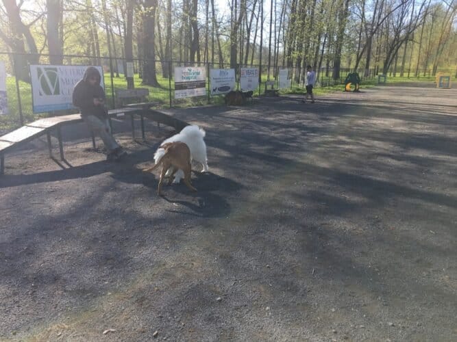 AC9h4noYjTa8RfJVXzpiwYLrgSYQ4qA2FSIh905dh6ttYjqFW2u1Koi7p5T52exGCkd6eBfgjS3MXsuwUjriyZ5VrAtqUh7UTYpcMLNLecBafGpsR4kIQf1JmWdPBIny9VKmRo7rSHEtw1600 h1000 k no