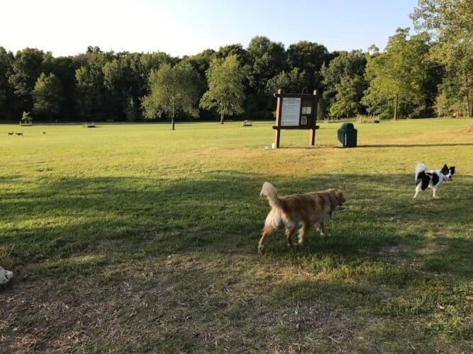 AC9h4noYkxNQps3rEDfuA4ANUiLkTvUQER1HFPd42DgIQhiJw5se5yMVNL2Zvhl HR5Xf5H3gfZOf30LtnC8yQG9w2 zxZlBMTNfDD 3B0qfYktSGCoRylO w8ZUlStUmkDE7m6 ZdMow1600 h1000 k no