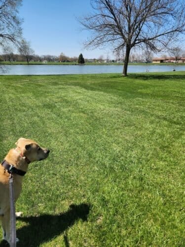 AC9h4noZ2OlZOPigYX QVXyX3NCO9Ag4nnK8bHakQScNubc46zMAByF3IhchzXoSGnA2lAcnXThECwMCnujXzdRPToBvXJjz NCLjtXSaKQ q7UHu0Kjdwu1rDGZbda11M4PHwigHuJaw1600 h1000 k no