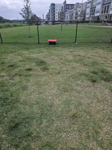 AC9h4noZ6Dk AeNWg9DhIfWGcQXitkRgQcJDnhl 0xaS3OSPfZENdENVTc1ALjePjKJb7f6tXz61O73IlQc2td5rkwfBhSJpAFtcH QLXDQw1600 h1000 k no