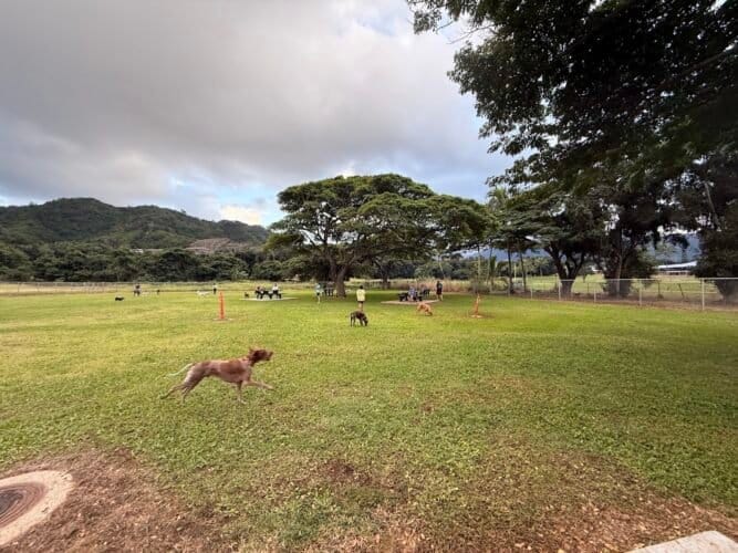 AC9h4noZJm8G8bYYUgHpehDX5FX pPOSd26mkVSkLoeliERw55heEqP4Qbhbs1Botjwwk2mfkUvGInVsFLBT7ROvYUUbfKiQ306TumkVWu4kskwzfqzvcNsoQcvr8ccmaPUB8pUwrcziw1600 h1000 k no