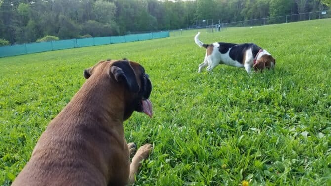 AC9h4noZQAaV5sRvVxCj2fvffaN4SDaXMrPH nGWtAwFoDzFx3vrTjp2OoRoW6TI12kFq95X 2bInH5s8BLDjmNkeJlXPwBlZ5Wxp uV Uhw2tsZ5zMktNHZlsw20eSebxOsZeZcXoz w1600 h1000 k no