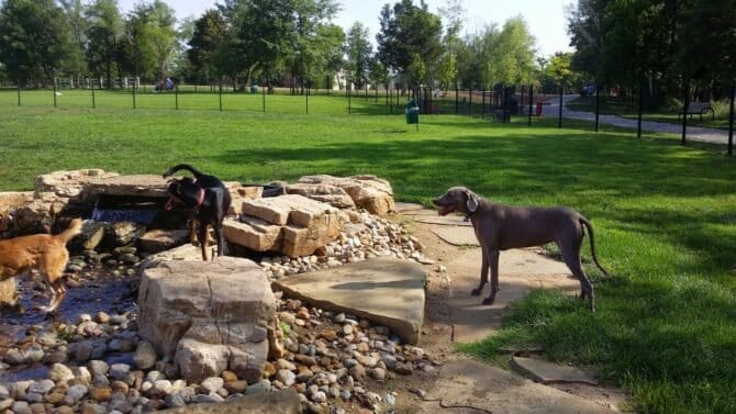 AC9h4noZTNOcw8bgeGoG 4pM8gcchXx5ZdQi9NoUujilgdp tMV6Y2X5H23RTgFsU jQ4WvlWnVqDpjnGhCiFgz Nd0mf6BfNpus4d88 rBsVVdVbke43fPrLMSb9ath1sdjVimVjm5AqQw1600 h1000 k no