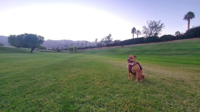 AC9h4noZbvEIVHxjmv5r 3 RRzVpPFQlKi1PyJeBamDy3u5apj4x5YIaYjFQGusvk1SVgh ZpJmviWemG 6exf48GO UfmvRtgAmvxWo2isw1600 h1000 k no