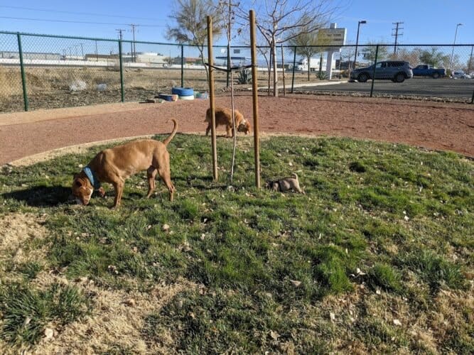 AC9h4noZkqhKeLqtKjHprUsGEIBTSIewVPZGKTYAxpZvGgrGoLw8nwZud08iGxOz7G UKJzgYc5yKd109kwB2f9arRk d4hYTFD7xrv7v8cLGOIbwdWCYDEa AIXjHswbkgRusuB6lLtGww1600 h1000 k no