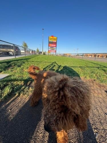 AC9h4noZo6CtxxrhgDpPhiQDywMkxdjbMFJAPSR7SG4kYsEifz67YIvwXz8Z7PqD7QjhNR4q0wZiBc61o5KXzxRa7CQzd1qURftCHtZUGqnKmfZLV6ipjqNmQGHmQKt5 WpXJVhy2R4NHODh7feUw1600 h1000 k no