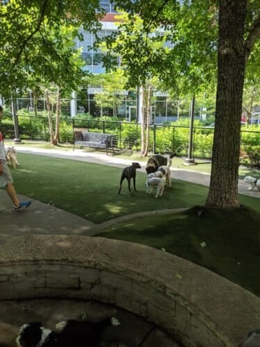 AC9h4noZpKGzi9mtti1oD3 P6dCWgG1M SY5urKelpHpLPLMXKnMFTLUMMkdsiWVHebt36OC0iBeAFLvzJZQTcyQcfJ8Y  wBOwr8ffX PprA yao20ZjiNv2gsWSvPNwIMVY5Mj5NpsLAw1600 h1000 k no