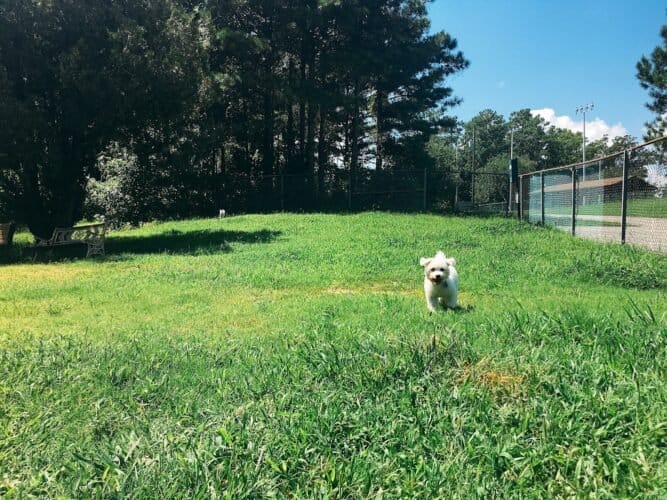 AC9h4no 8WwGpsVlEH SVKKaqzKtmKAcWa3WGVGsSJ8WPVH2yClQh 7iRCmccJDjoclHSvEkOKM3wD9hyeuYvWQbP25aVhEMLxTiryqPisSaQDBkQXd2gdUkObEINGwqKBoLdf04 wA6w1600 h1000 k no