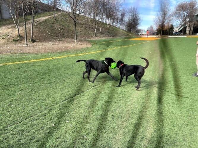 AC9h4no BFziQLXB64UarLuNAmvMytGuv23RqVUy8 lgdpenuu9jszHVkeW6NzDb 6coJdurAIV3iWop3JsfCVNDx 2 zXiix50hP8tOL3jGSr3r1YdHnOm4Kwh1n0RTbaHRy EqHwt0w1600 h1000 k no