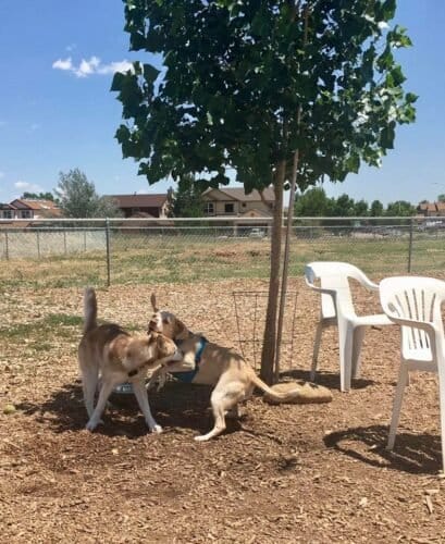 AC9h4no EkfHJ7PegPREYRIMFQzNBR8JFClF9gct2l3QOq5WZF3Gd1DD36hfsDKHOUU82CeK7EdsAs3zcsRo7yYOxOeA5VeltBVI50A3a0TlAxKMVs CgxcX D Giga53sJffJ96o8j1w1600 h1000 k no