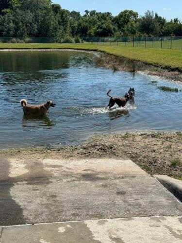 AC9h4no HZxtqpBKme3Xl1uIj1wxSI3utnmfscYPMbPVlEY JV 3L2 moHF0dL8mX5KukfjX031LRsA axei7oF SzTNtMS 95PFCdg6122W6hvTDh898ToDDXxDoYSWvGFsdqT iWDDdAw1600 h1000 k no