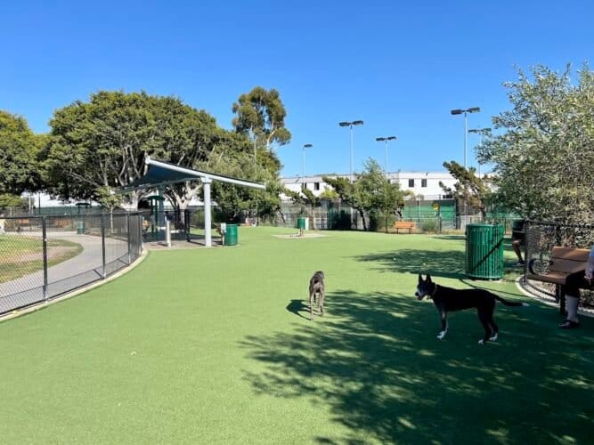 AC9h4no Q7njtgTTIy9d T2QiZ g4dxEKQU7 Em0MzsNuz2 yGymHmjMmtdnMVqXb2fvYU6tUqdp67Ktvr3PimCKrTPNjgTlhu07fFaBWCQ5BTnzrhWq6R38QMJhiyRi6vo3Zj2AVpgw1600 h1000 k no