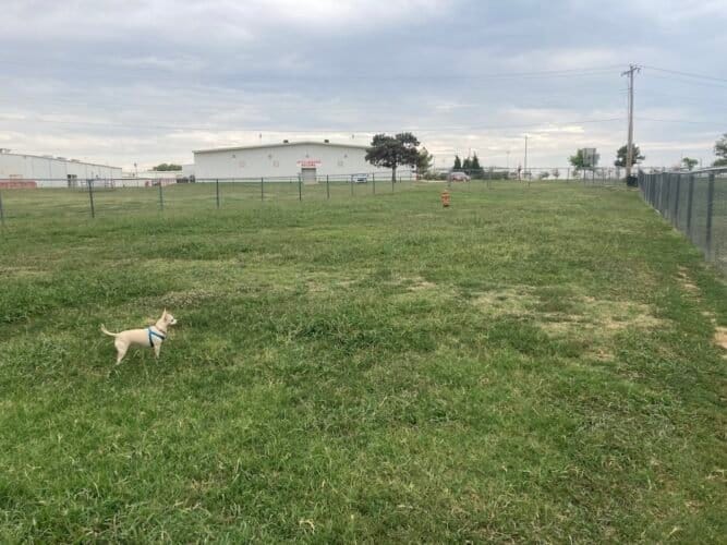 AC9h4no Vycr9jTMo1xikz1MQ8fVfkN54wE1gvVzx5nbSYMDrn0fDXYSCwJzSP C7IAVeVrLggCNywnunZI5a gtLIlSohbM UcrLWVfd5SxBFoxiHod60i4SyC1TqEzNDuhLkRLprEw1600 h1000 k no