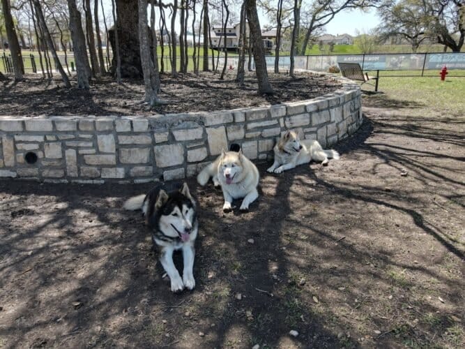 AC9h4no rL4rNogJMAhEPn4e5UoeaWqlRVUcU1sTX3TaKiUOheFhKMnma2Wa0a 7oCOAIowHwCyKZgdDx9H0LNPmzBytUGOvxgAtd9hRJKelcliR51Je95Lterwhca8rib9gwLrmS4fxMww1600 h1000 k no