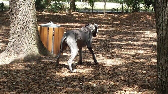 AC9h4no thfwnKusWA6SrsGghtyzyKrNv9QxjzgBEvXeuJPCpQwzLcCfSBnSMSbdIH7uRhu24ZWHHigay7uDenf8GFZUkCP1CJz9nPtqw1600 h1000 k no