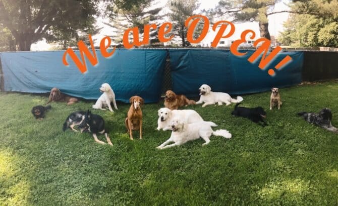 AC9h4noa5Y0OfDY9mP43n5oFycTx6M47 09duffK4IIYsCuOVYIlH7IpTdPOR9Aysd1U4P2VWHKMaI38aRbGvbuREJ95WVN CMoaxImEXyFuO7KyNNV55s8EF yHbzWQf8op5TLsvCW5w1600 h1000 k no