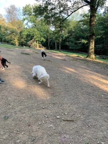 AC9h4noaO4 nPwelYwcmtOCPfT LvbOTUHZXzrha31tyG42veuvp2qWUC5mi620kQZQl65k0KQld8sxglJEHR1eYzOyIApD16aoEzxm31rT7jGkjhWiy9aD6Qu10ANivoRLyVDs52EZZw1600 h1000 k no