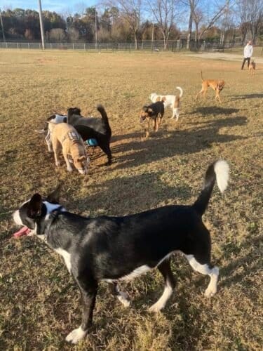 AC9h4noaTXV Jw1MMnhmAWkqc82Sr S7OHGbSM02 Gt cVPIGPtiqO4k7iTTO79x8BLVgXsKmBKffPi637Bj6zJ5A0iyq2yV4YF2eWUTo9yaOBgzTs z QFddZ Rtk5ol9DiQmq1HSi0w1600 h1000 k no