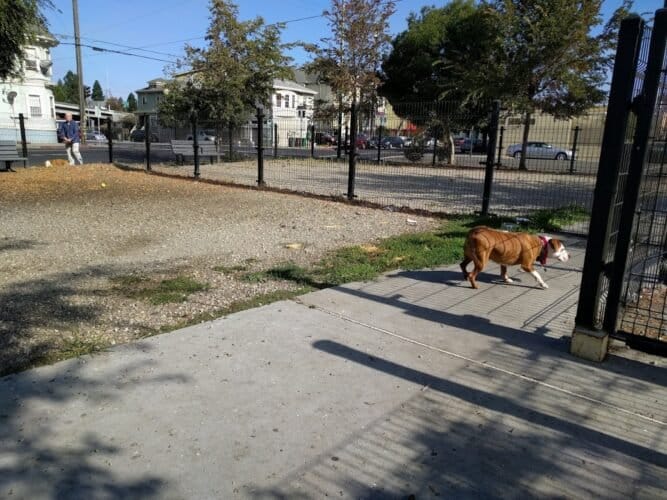 AC9h4noadhLoMf7NAJo3vinK84HhYg8wTput8kdIyTF3jP8u8HS2LOgvLd56U ooMjtz91ORMKcATzAezVESmhiqDjNvDfXhXQQ9eWU32EtDdWqQXDcyP33cEuPCHFfwnf7jL0Ib8bgfw1600 h1000 k no