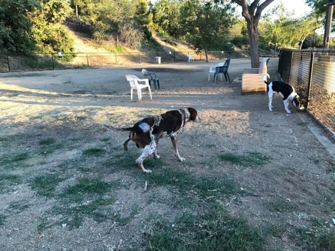 AC9h4noaf4GQg9n4LDftxAfwf7srjkodOH66az9rqL319vJoo29JOizRC6saWUXQpUCSfBsco3NEDp1WWOMzvNuBVK7I e vRhpLQOheV4GDlI4mDhvMLN44hHI4x429hZBYRv84ngMyVgw1600 h1000 k no