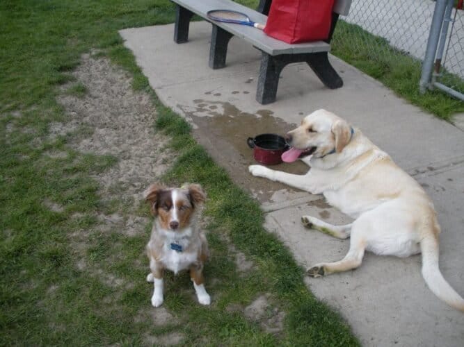 AC9h4noawNO2L arNn1NfiP9AswUniQMEBmALc7NJ fzECOJZ2vxcB2Ef7LQLbE2z rPax7lrDUWHONzE6zPw0WNKcYLRqPJjiVNo2Mh06opNI8NJJrfc7pfzxr9BtUzaCwmrYbI o5fw1600 h1000 k no