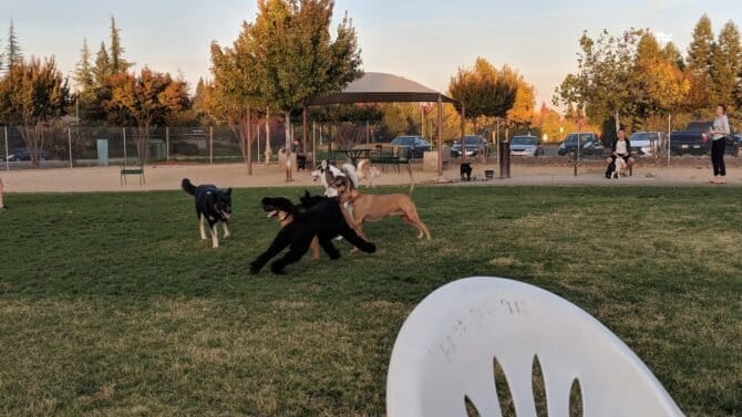 AC9h4noawmZYsOvJXBHVWEvkJkePWXxXsMC9mCYqK9lX02 VNb uyEELQbcEsyU LO6LW6hjTmRPKl3gsXJMQVzOqTDOcibN 3cMA7mqtWCKfKAC7OYAu8HnEZHgT0VlDPQGyiA xEUw1600 h1000 k no