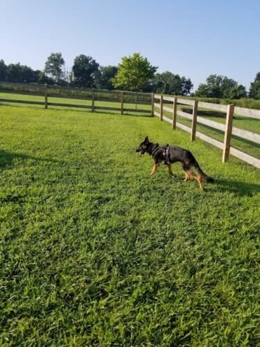 AC9h4noayMp5jPlzPcM GU8XWpbDXBAVII2NuyigWD8x8H Os7YhvHYfTx5HoRY9ixOTdSLn476LUUoM0VxN4dKiiaKEHC6wgZRCXqQF5KsQVXhwkGH9SxbzHvHPcu86xlbDzuteUURIwww1600 h1000 k no