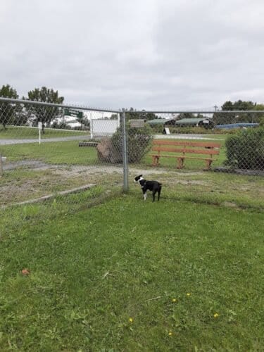 AC9h4nob Y2sUlrOv0jdxHeh3VKdoMNScEFa7qKXJRj3 yM90egDYTaScii4r2gXgsO3vnBjWuTCY7seAsQYxZDfYh2foehaSGuc9l6jw1600 h1000 k no