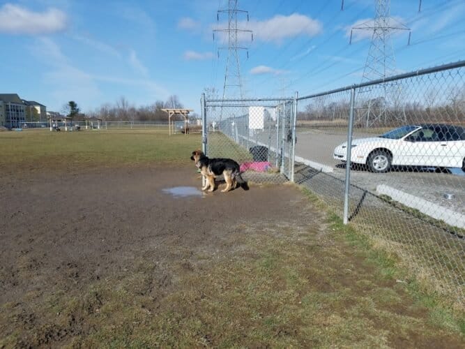 AC9h4nob3e0Bpz1tFZ5rvbEg0TvOMxmV6RZqtfkgAqUarRNpUCIrVuSaYpRr2LCfwv6RAaOWSkcT9GDGxnMA5wK yeYpRR7BNPxVTwp4AqYGZADRxIhHRfHfRcOIzZsgxb3R4mxwbI iw1600 h1000 k no