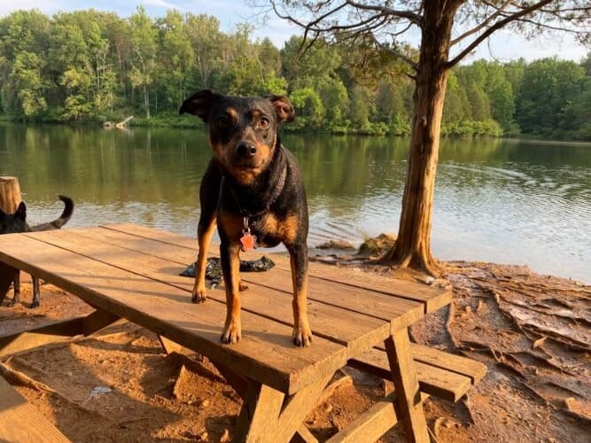 AC9h4nobJ r51NeN1gROrbmP8aQ7PfhiM hFdQrYzwClQYE8kweyxnoTRzxMkVQfB4q qESoYJIsxDow3v7F7d01OKNXs8KkRdlpCIuhK52buxgbxxpD34YRyPxeUurP9TrvBtT9ude4LQw1600 h1000 k no