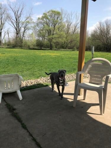 AC9h4nobLjal7q10cv9sSZKmjVJ3z8xYXfO7vYaHFX 6lGHCXAFn9r2TDwRMU5nLUZIfPw pBbsqomAA2PLo4kNhgpm2dm0 1Xrp 9s2NXsNoH5yXF7qyx1hNhvj0NJeVQMdBZC1Zq3Jw1600 h1000 k no