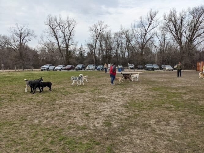 AC9h4nobMmpi7CY8J7Z0fzwI1cSB0R fu ymaFpXOr6dwzj4eyhz6InTAYNehO wBQ7Acf3vXMQ FmQY08SOtGE8wyZF9htYHvL7uUzHVk bDyqHgcwHflLJvD9lwYb1i7Qpo938nHLZw1600 h1000 k no