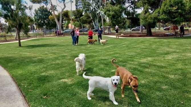 AC9h4nobNLQcmGsg4NxX2Kz7FLfJcCpaJUDJ1Do1fPN2hrhdkdASbOdtCJ1Vyej67WZERqXYS7ylyhBWolHBMAeZIr2s6CseRvmWeYlqbBPNCLf8n0bCmRure rVtlo3buokR0hq7l6Uw1600 h1000 k no